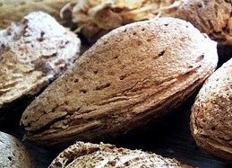 A Soul is like a&nbsp;Seed