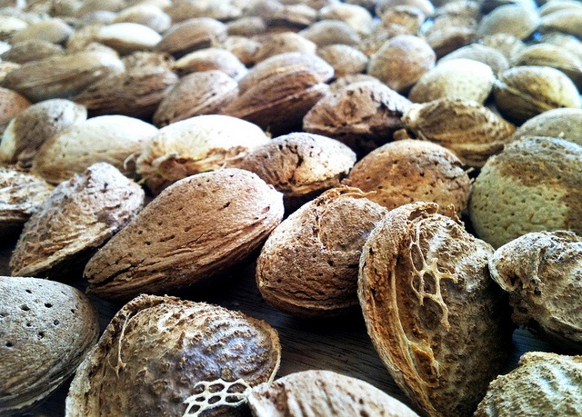 a soul is like a seed